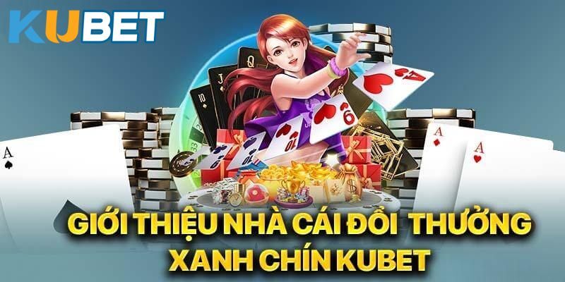 Nền tảng cá cược đẳng cấp 