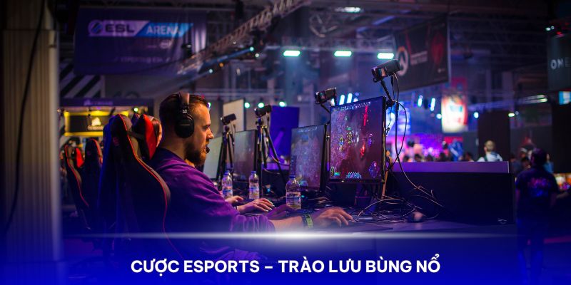 Cá cược Esports – Trào lưu bùng nổ trong các nền tảng trực tuyến