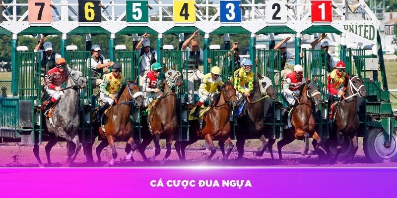 Cá Cược Đua Ngựa Tại Kubet11 - Chiến Lược Hiệu Quả