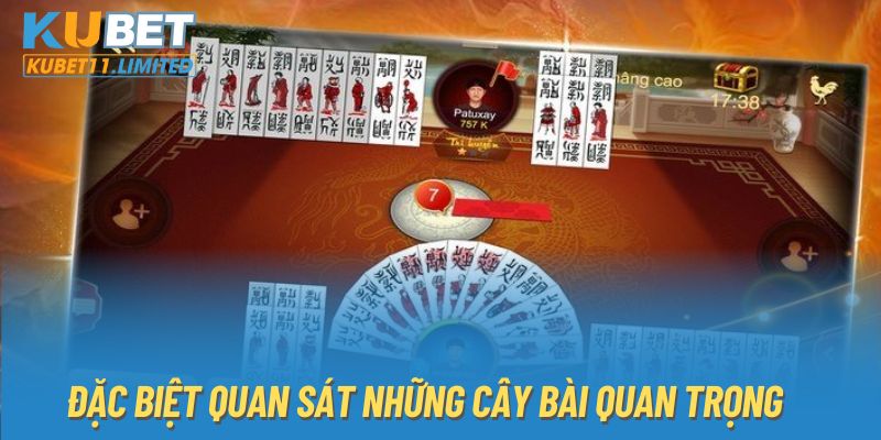 Đặc biệt quan sát những cây bài quan trọng