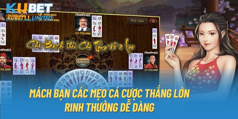 Mách bạn các mẹo cá cược thắng lớn, rinh thưởng dễ dàng